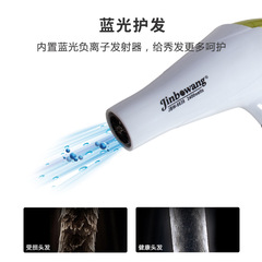 勁波王6638廠家直銷家用藍光冷熱風專業靜音禮品大功率電吹風機