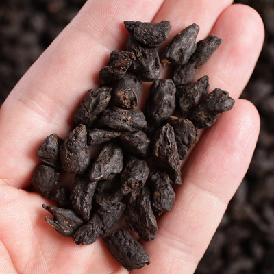 批发 云南普洱熟茶 散茶 勐海糯香茶化石碎银子 厂家直销产地货源