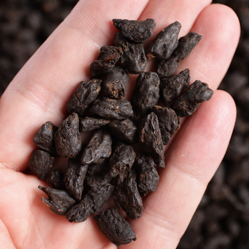 批发 云南普洱熟茶 散茶 勐海糯香茶化石碎银子 厂家直销产地货源