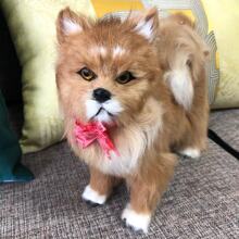 �ǧ�x���沩��ȮҮ�Ȕ[�����վ��^��Ȯ��߶YƷҹ�S��ֱ��