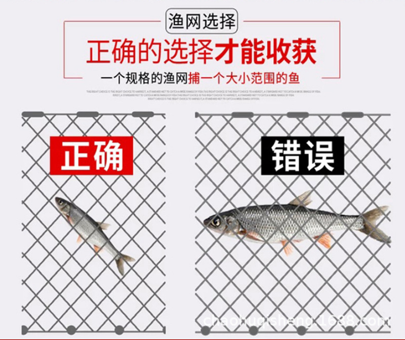 渔网正确错误选择.png