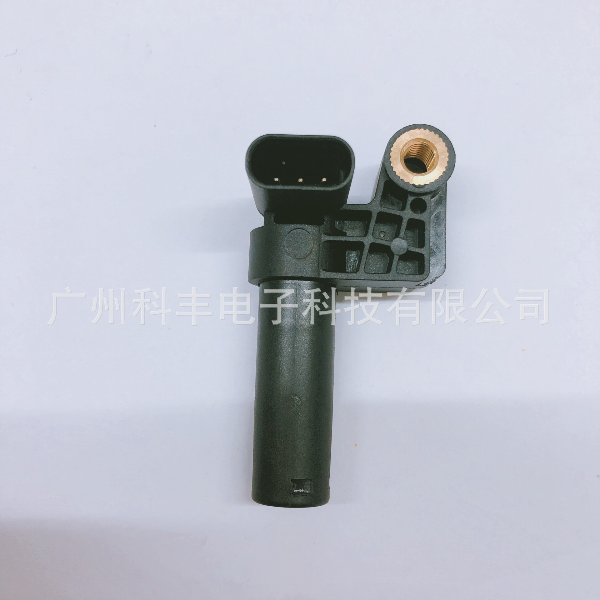 IMG_5534(20191122-103618)