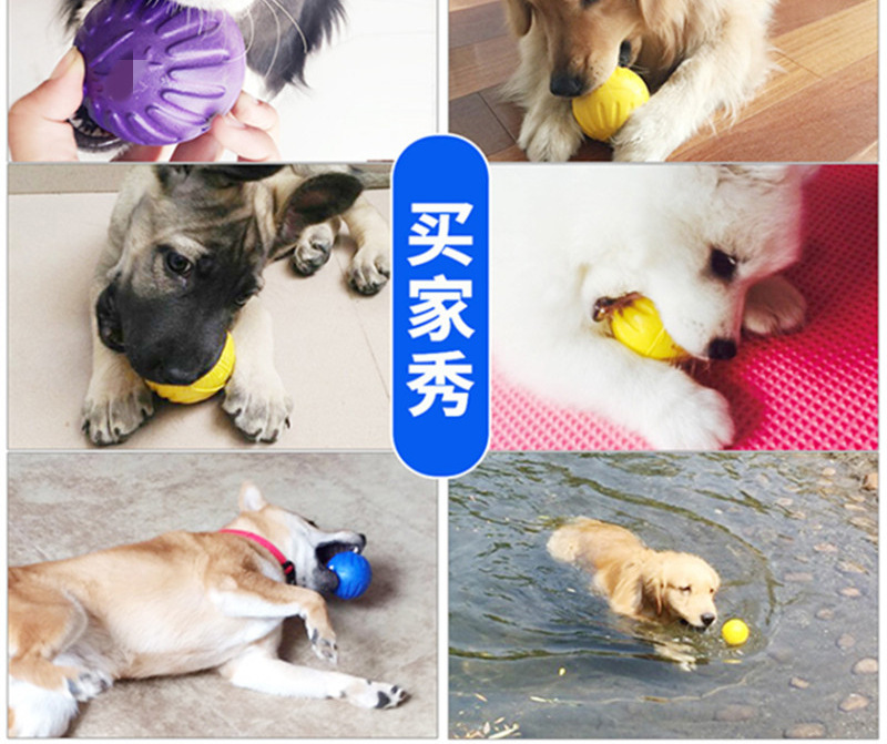 狗狗用品星记球EVA泡沫球宠物玩具耐咬训犬球狗飞盘可替代食物碗详情9