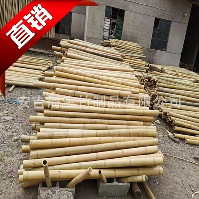 装饰大竹杆黄色竹子装潢门头整根竹材浙江安吉厂家直销碳化竹竿