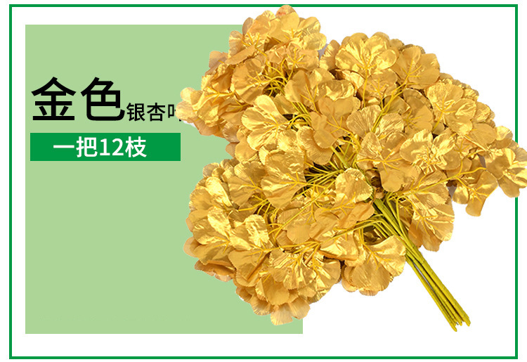 10732807426_237492366