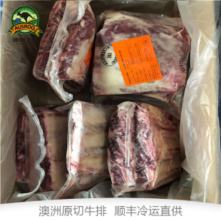 澳洲进口冷冻牛肉 安格斯谷饲带骨牛肋排 整箱餐厅批发原切牛排