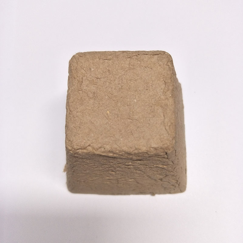 未标题-1_0001_IMG20190323113239