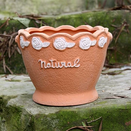 花盆容器;园艺灌溉工具;装饰花瓶