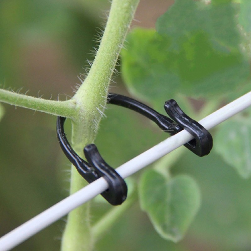 园艺扎线，葡萄绑枝扎线绑带 藤蔓捆扎夹扎线带