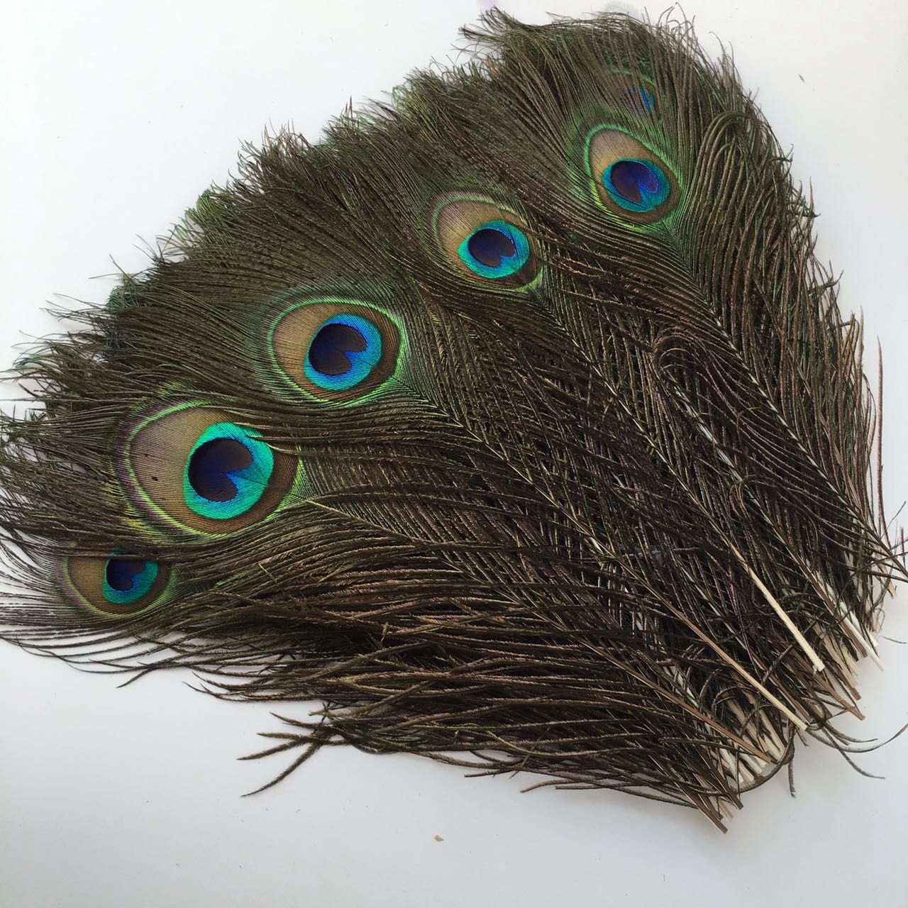 172910643308436482_副本