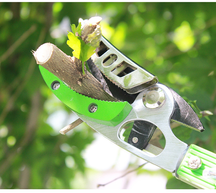 ��֦������_06