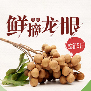 Longan Guiyuan Longan Fresh Season Fruit теперь собирает Shimi Chu Liang Liang Gazhou Gazhou 5 фунтов оптовых