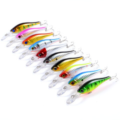 Lure Bait Floating Minnow 10.2cm / 8.7g Plastic Fishing Lure Hard Bait Cross-Border Fake Bait Biomimetic Bait Wholesale