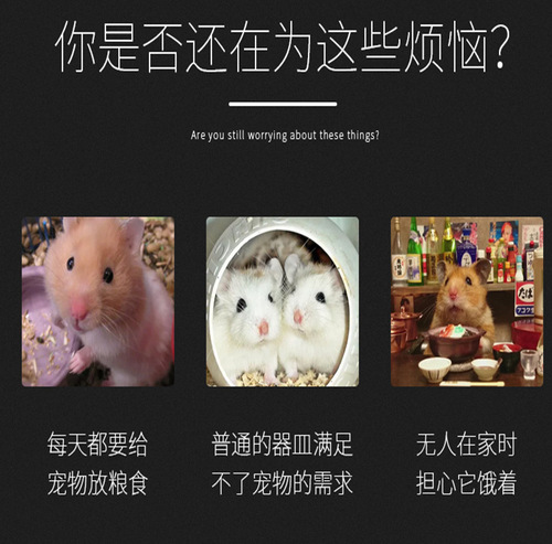 Explosive hamster golden bear guinea pig squirrel hedgehog bird food bowl food box bowl supplies automatic feeder unloader