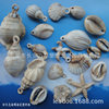 21-44mm imitation conch shell-shaped plastic bead shell beads DIY shell bead beaded beaded beaded holes conch