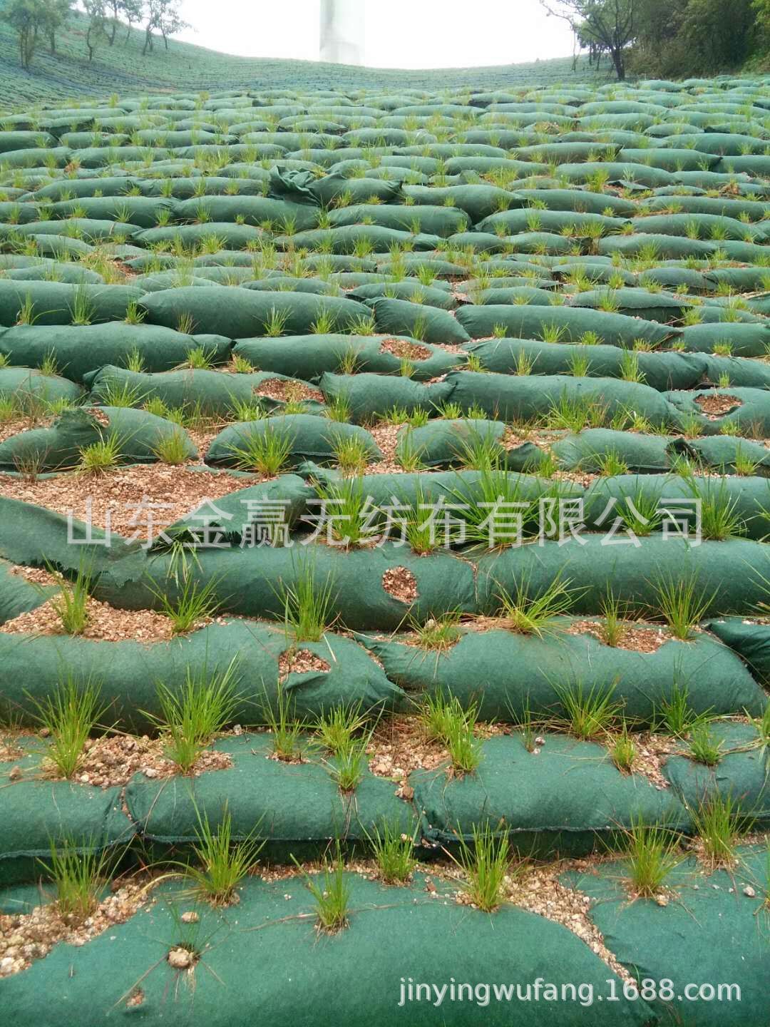 生态袋 现货 厂家 当天发 河道护坡生态袋 40×80cm 草种生态袋