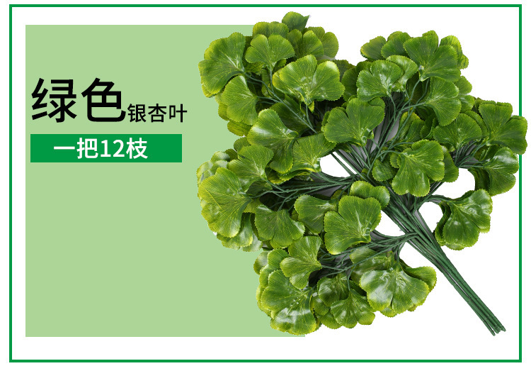 10703442374_237492366