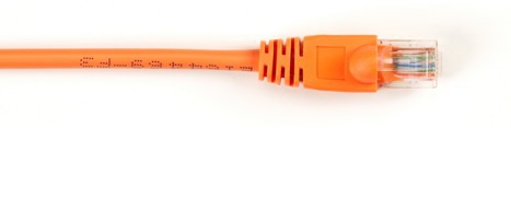 Black Box CAT5EPC-001-OR