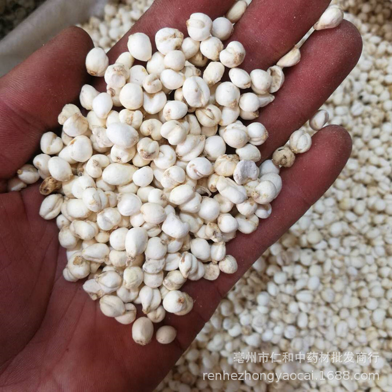 Ping Bei Mu Dried Bulbus Fritillariae Ussuriensis Slices 500g Bulk Loose Herb for Decoction and Culinary Use quality and texture
