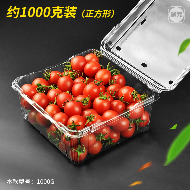 一次性水果盒一斤装草莓盒