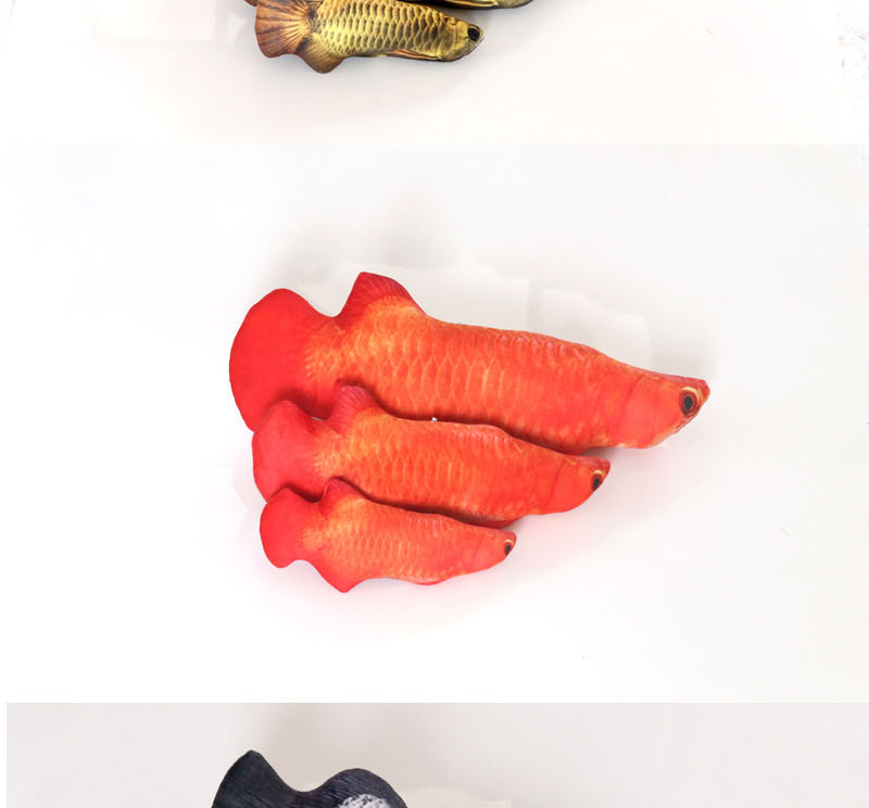 鱼详情_15.jpg