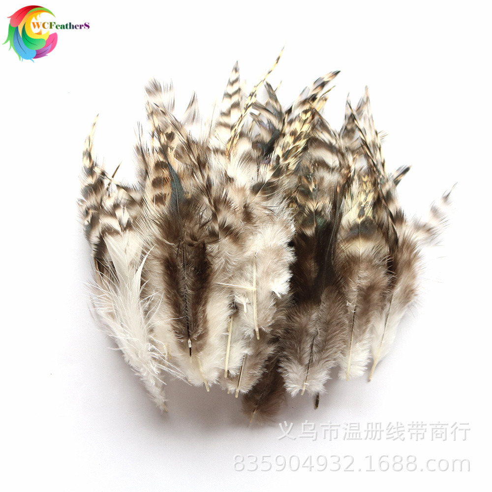 温册羽毛现货批发自然色青芦花尖8-16cm50根一套黑白条花鸡毛详情图11