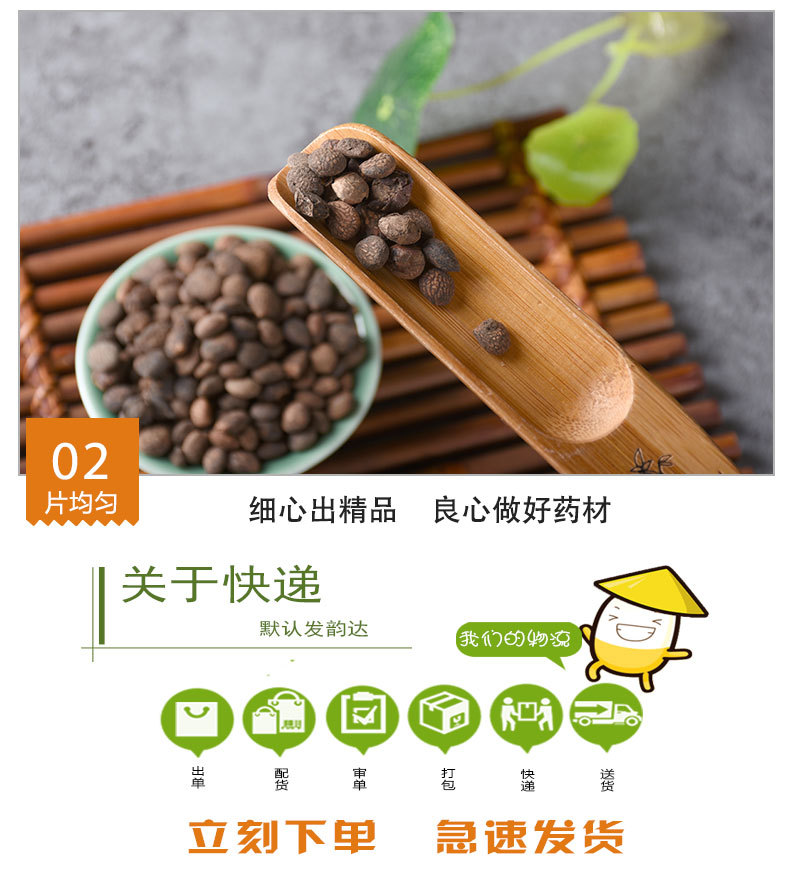 Rui Ren (Prinsepia uniflora) — Dried Wild Cherry Seed for TCM Herbal Decoctions quality and texture