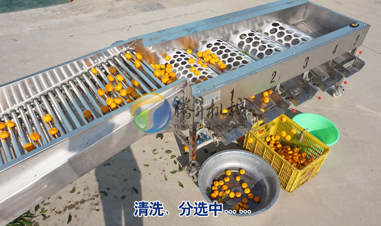 清洗分选3.jpg
