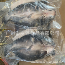 冷冻清江鱼烤鱼 活冻腌制清江鱼清江团鱼黑鮰鱼叉尾鮰鱼900/1100