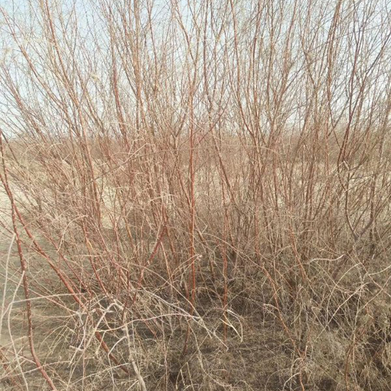 微信图片_20190422095321