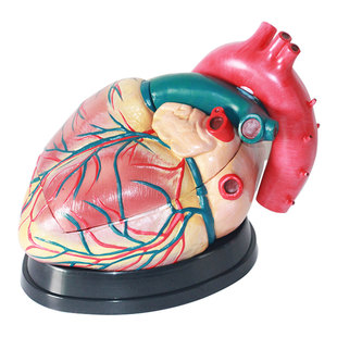 ���t��Ʒ���w���K�Ŵ����ģ�Ϳɲ�ж�ăȿ�B���ʳ��ăȿƷ�