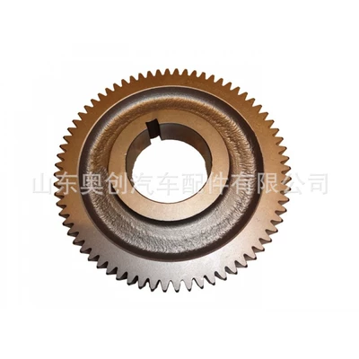 gearbox gear 12JS200T-1701113 – Transmission gear and shaft