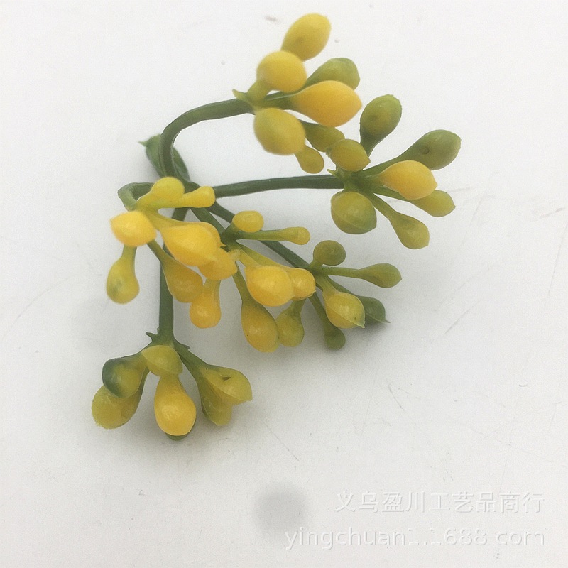 2019-07-20 083924.jpg