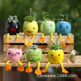 植物工艺品;栽培基质;陶瓷工艺品