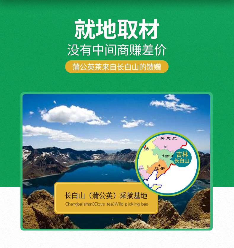 蒲公英2.jpg