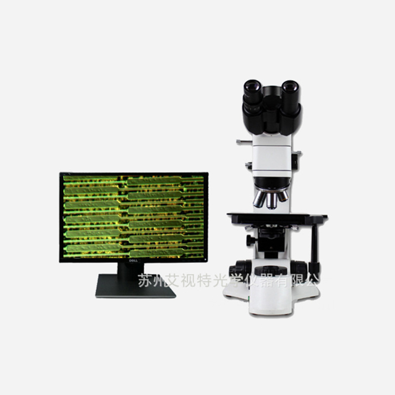 微分干涉金相显微镜 导电粒子 工业高倍显微镜