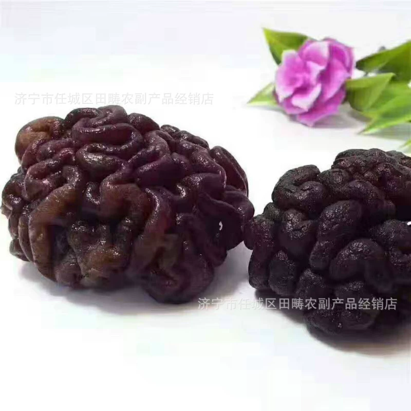 Бактерии мозга обезьян 2022 Новые бактерии грецкого ореха долгосрочные поставки Происхождение поставки