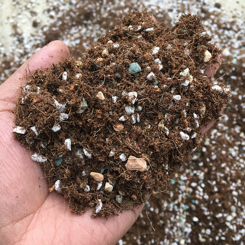 [Питательная почва] Торфяная почва мясистая размножающая почва Оптовая посадка формула частицы почвы питательная гумусовая почва