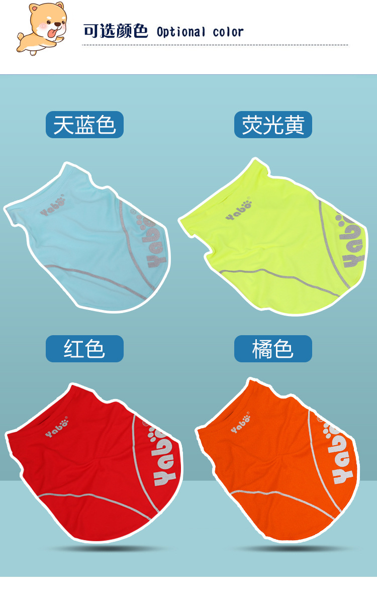详情切片