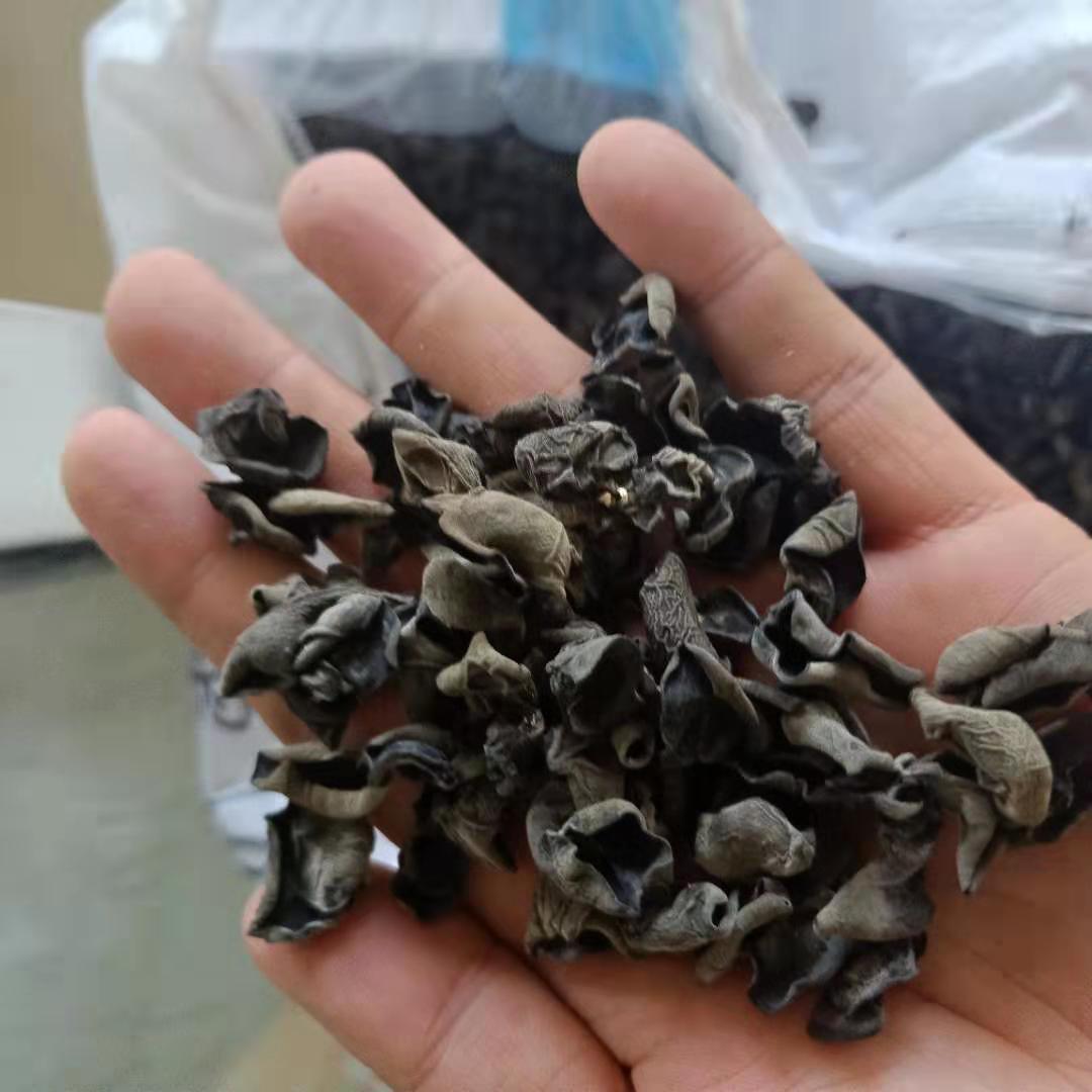 Dried Black Wood Ear Mushroom Small Bowl Grade Autumn Harvest 250g overview