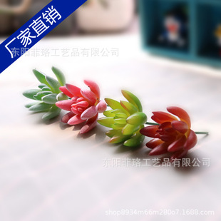 �������ֲ������ָ���l�Ҿӿ͏d�پGֲ�����w�bM��ֲ�q������