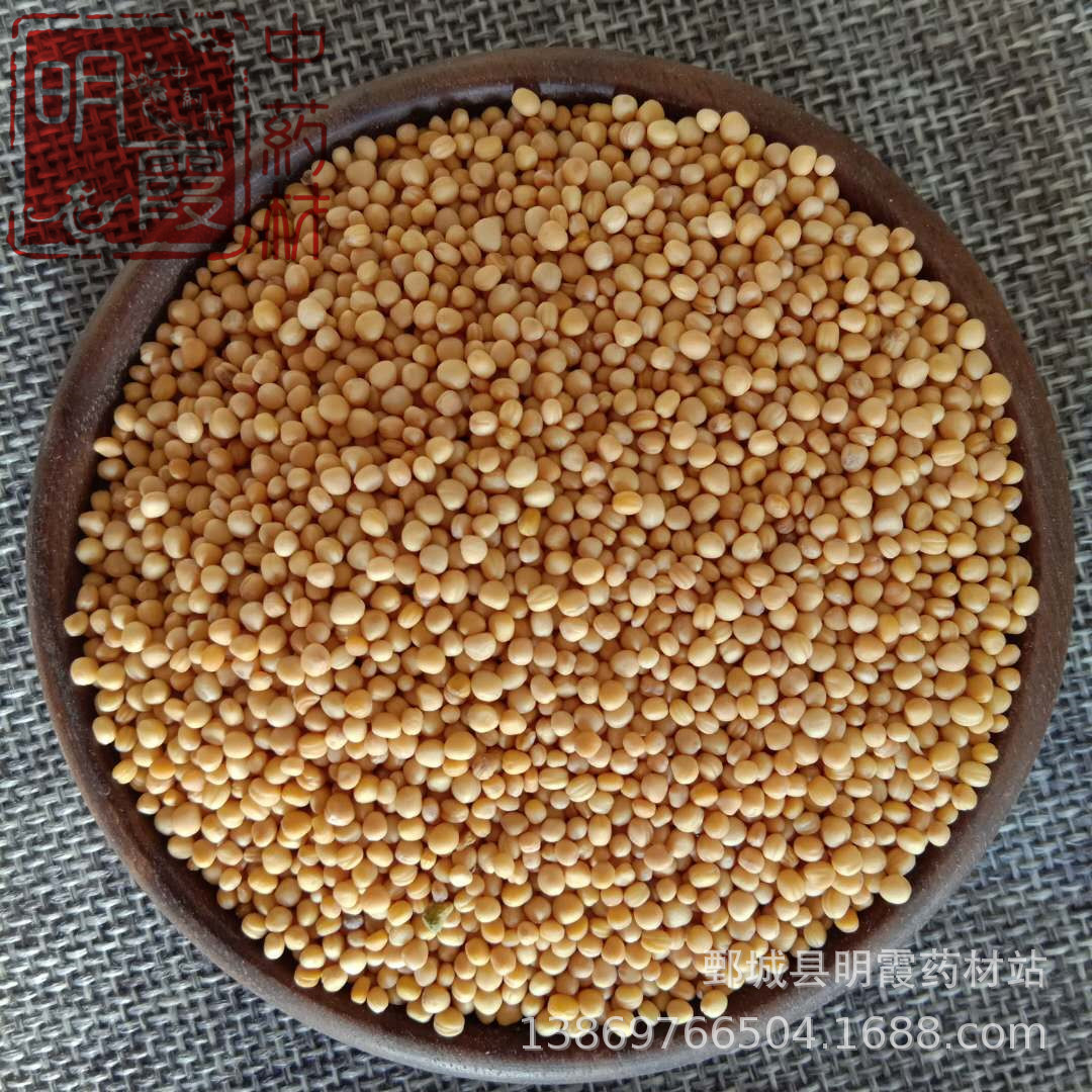 产地供应【白芥子】1000克批发零售供应中药材