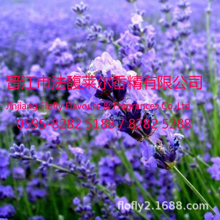 薰衣草香精，洗发水香精，沐浴露香精，洗衣液香精