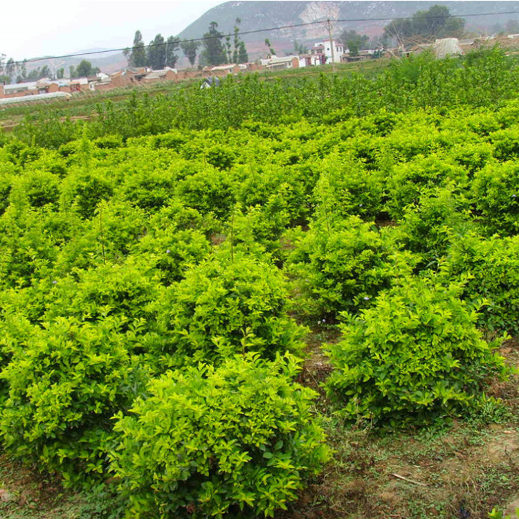 QQ截图20150709153910