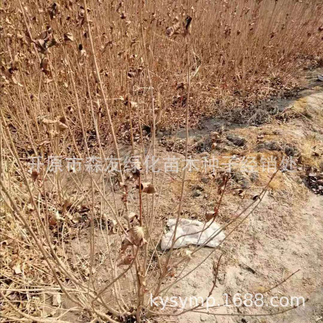 微信图片_20190310150521