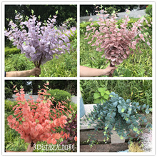 ���X�� ����3D�^�z�ȼ��� �ٻ� �b���@ ��c��·�����b羳