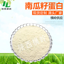 南瓜籽蛋白60% 南瓜籽提取物 厂家直销 南瓜籽蛋白粉 1KG起订含运