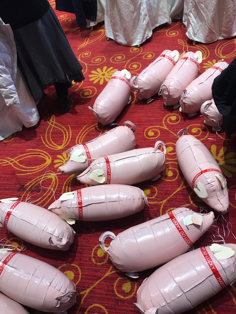 走路猪大量现货