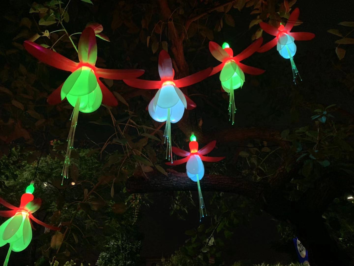 2e480ab256c251f9a3a861a9e3d896