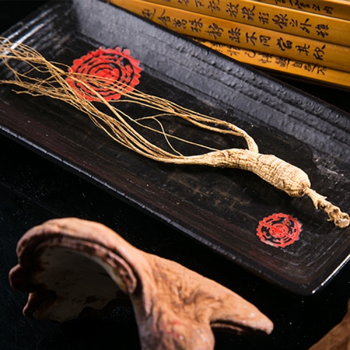 Jilin Specialty - Changbai Mountain Ginseng - Underground Ginseng - Shengbo Ginseng Industry Wholesale - Gift Box Ginseng - Agent Recruitment - One Piece Delivery